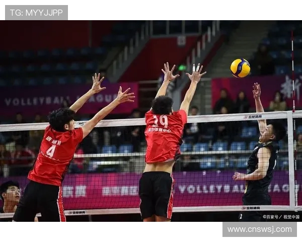 刘娜独家分享排球心得与技巧助你提升球技的全方位指南