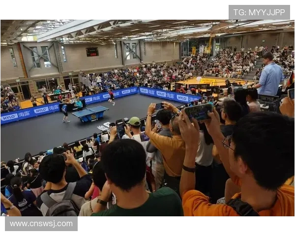 武汉乒乓球队战术变革引发热议新思路助力竞技水平提升