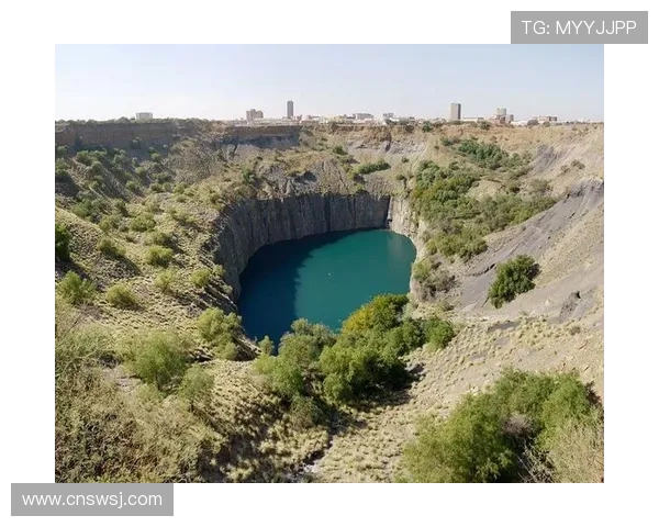 武汉极限运动队状态对比深度解析与未来发展趋势探讨