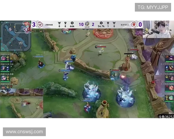 王者荣耀赛事分析：TES战队表现创新高引发热议