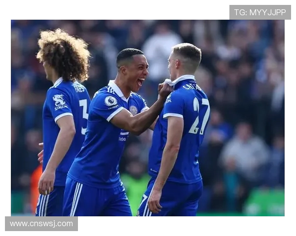 埃弗顿主场迎战莱斯特城双方争夺英超宝贵积分之战