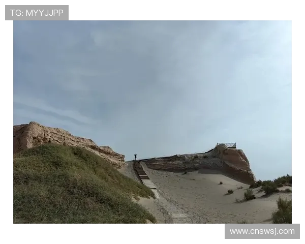 布莱克尼的魅力探寻:历史文化与自然风光的完美交融之旅